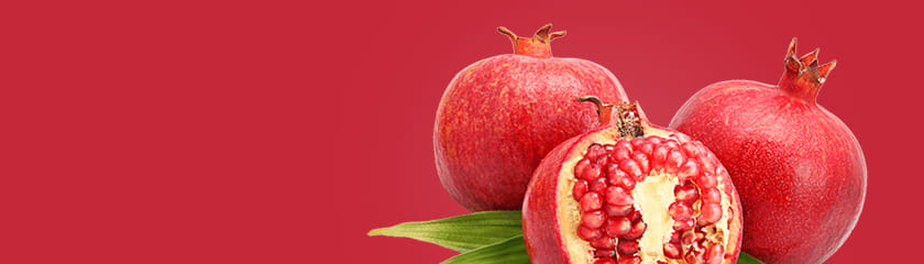 banner-09.jpg banner-09.jpg